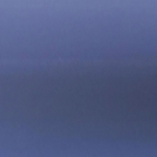 LS10
